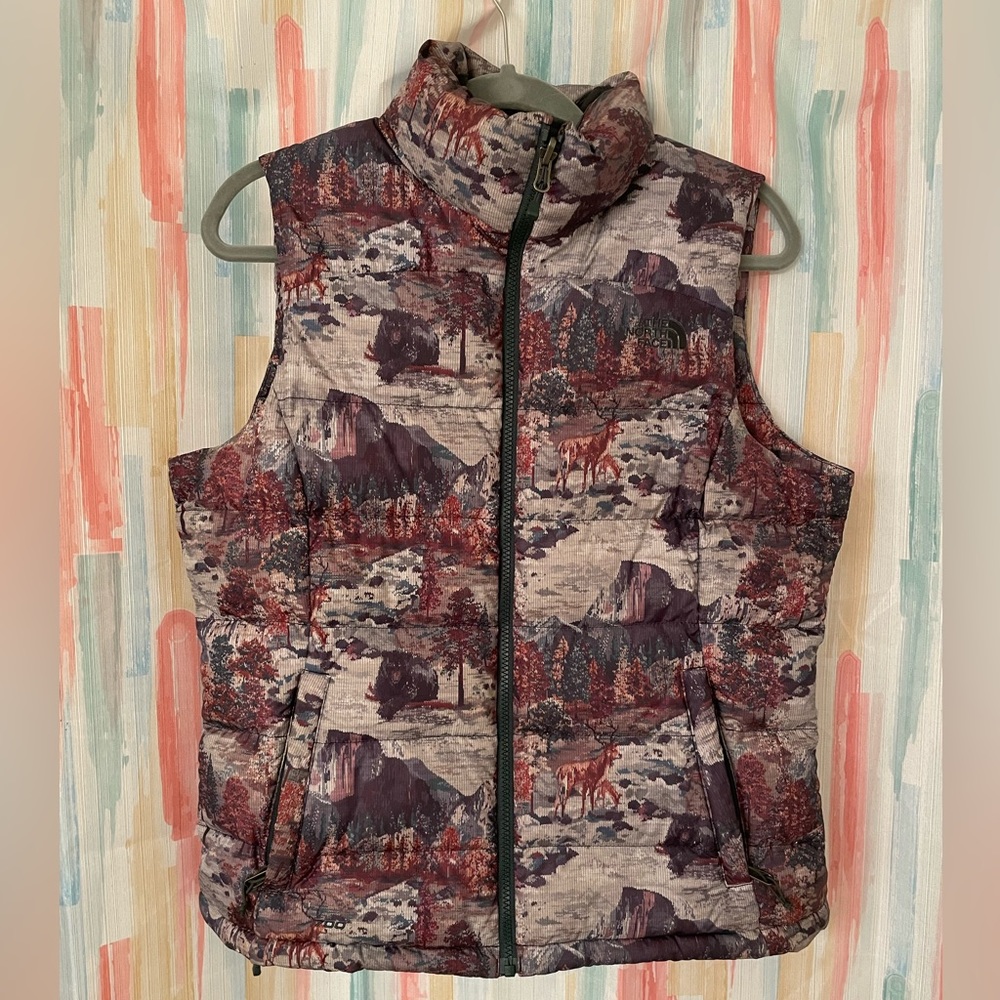 North Face Vest